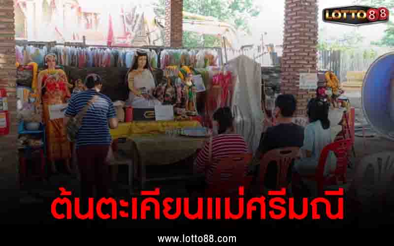 ต้นตะเคียนแม่ศรีมณี 16/12/65